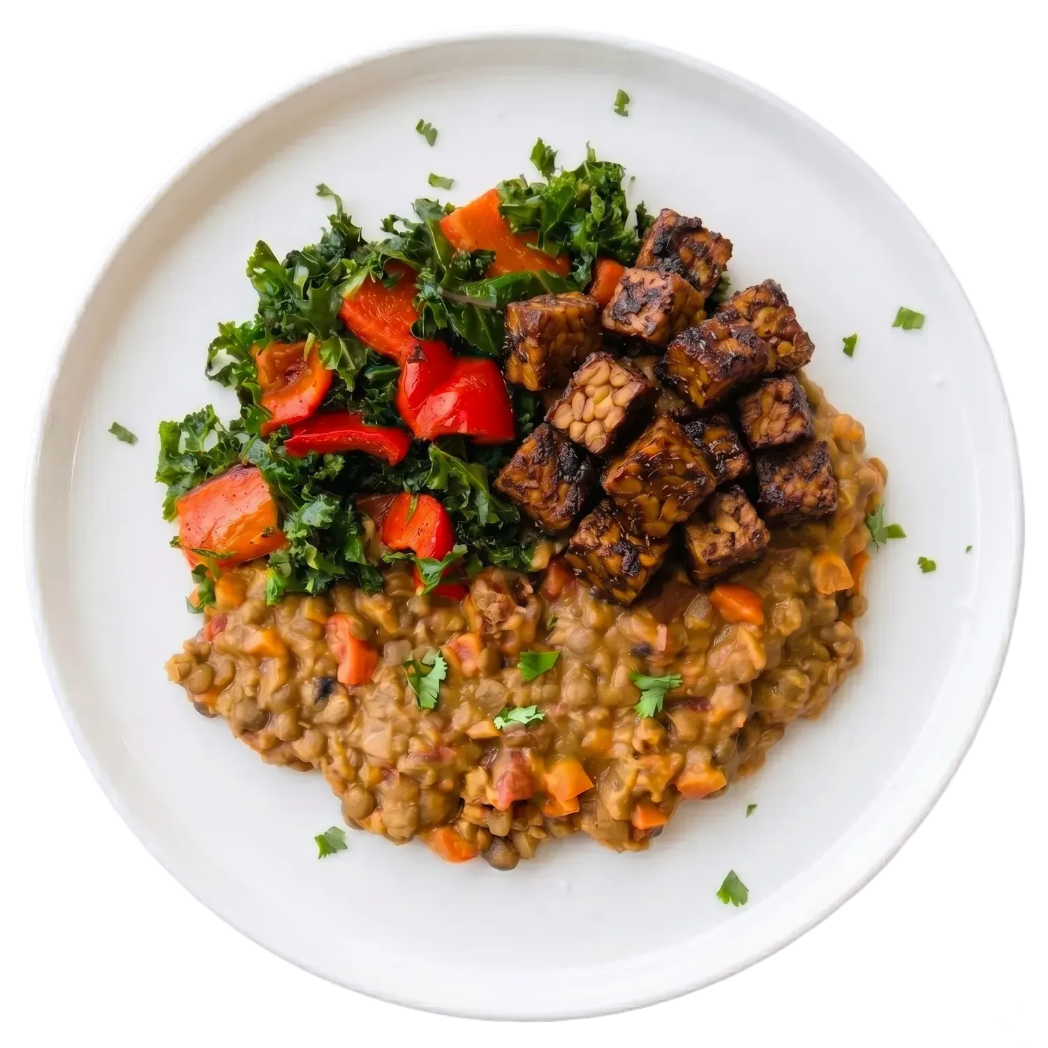 Keepin' It Irie Jamaican Tempeh Curry